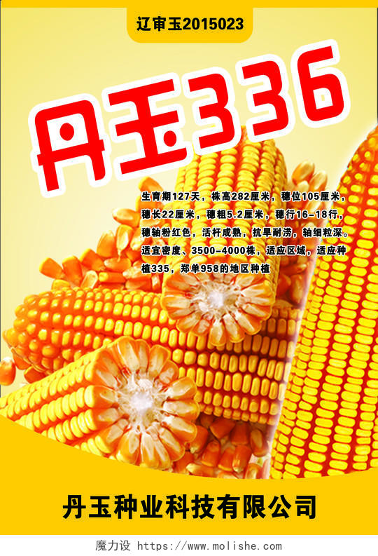 玉米品种粮食种业农产品海报